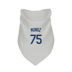Seattle Mariners Andres Munoz Gray Pet Bandana for Dog & Cat