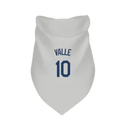 Seattle Mariners Dave Valle Gray Pet Bandana for Dog & Cat