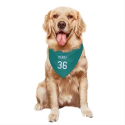 Seattle Mariners Gaylord Perry Green Pet Bandana for Dog & Cat