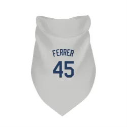 Seattle Mariners Jose Ferrer Gray Pet Bandana for Dog & Cat