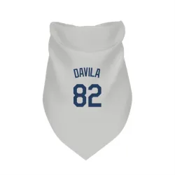 Seattle Mariners Nick Davila Gray Pet Bandana for Dog & Cat