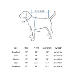 Seattle Mariners Randy Arozarena White Pet Jersey for Dog & Cat