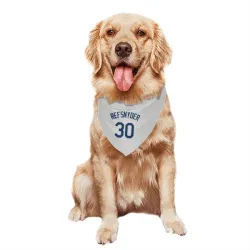 Seattle Mariners Rob Refsnyder Gray Pet Bandana for Dog & Cat