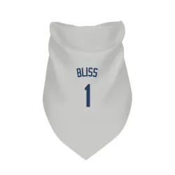 Seattle Mariners Ryan Bliss Gray Pet Bandana for Dog & Cat