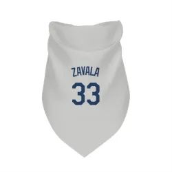 Seattle Mariners Seby Zavala Gray Pet Bandana for Dog & Cat