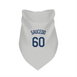 Seattle Mariners Tayler Saucedo Gray Pet Bandana for Dog & Cat