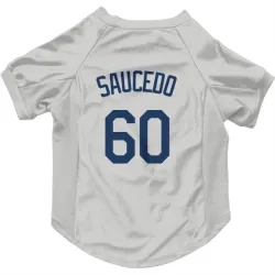 Seattle Mariners Tayler Saucedo Gray Pet Jersey for Dog & Cat