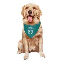 Seattle Mariners Tino Martinez Green Pet Bandana for Dog & Cat